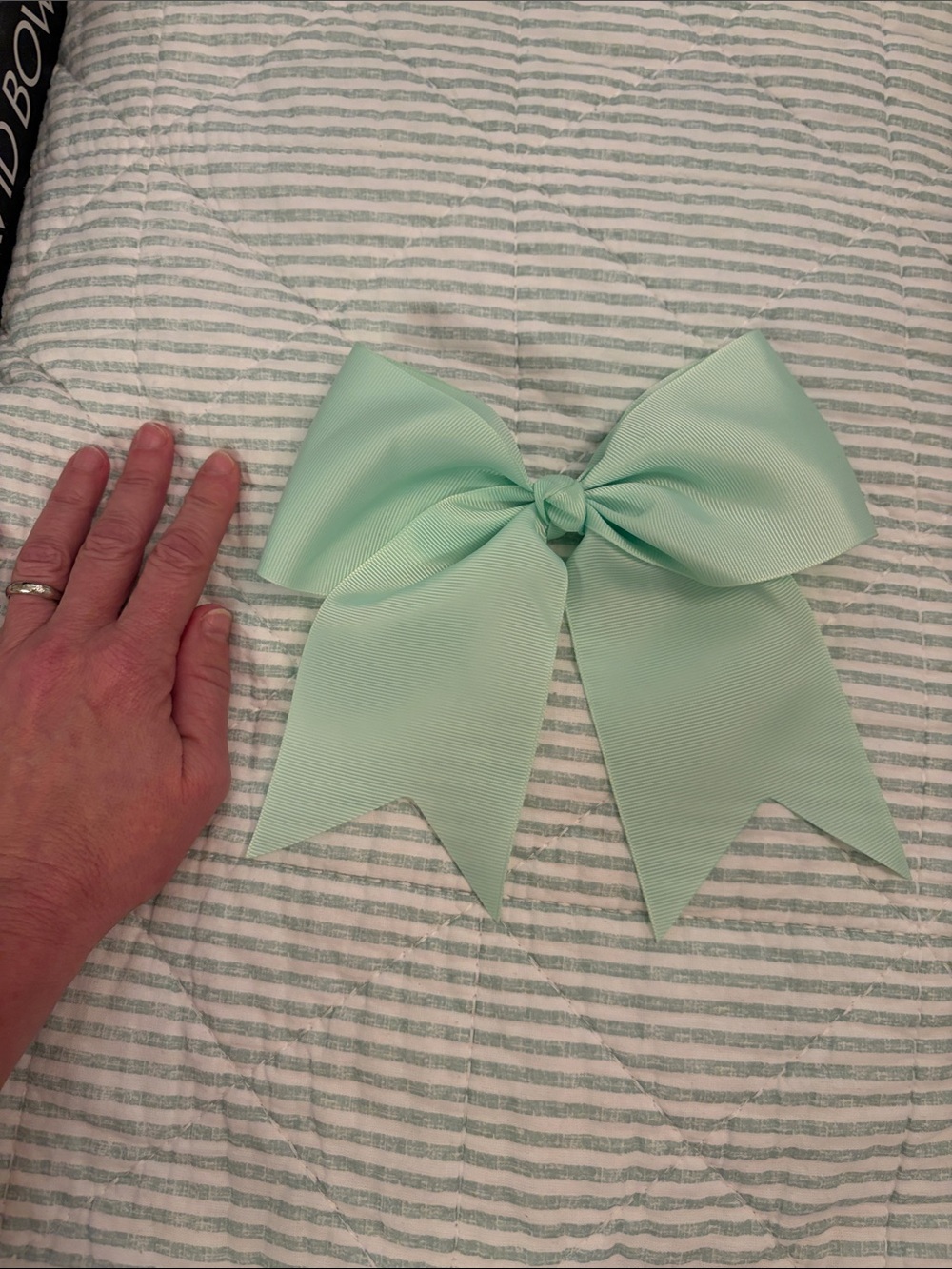 Large Kids Hair Bow Clip - Mint Green Grosgrain